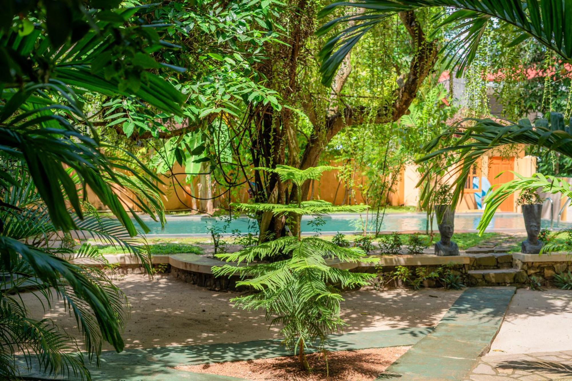 Monkey Villa هيكادوفا المظهر الخارجي الصورة